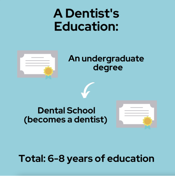 Dentist’s Education Dentists vs: Orthodontists